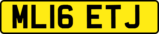 ML16ETJ