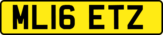 ML16ETZ