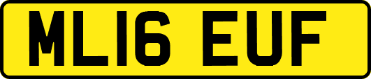 ML16EUF