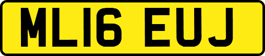 ML16EUJ