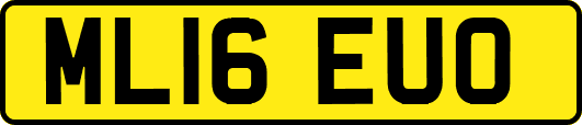 ML16EUO