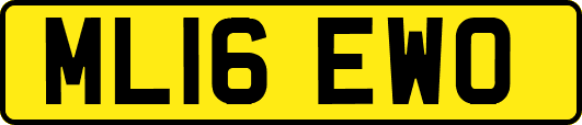 ML16EWO