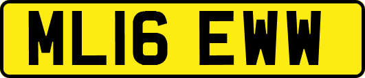 ML16EWW