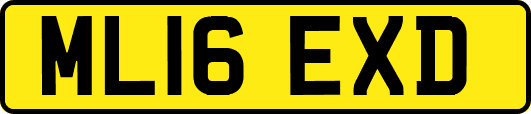 ML16EXD