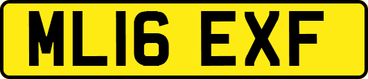 ML16EXF