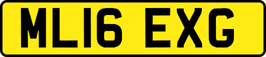 ML16EXG