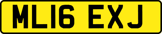 ML16EXJ