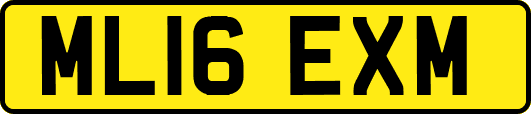 ML16EXM