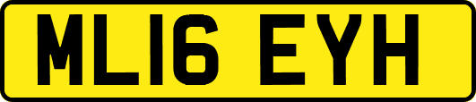 ML16EYH