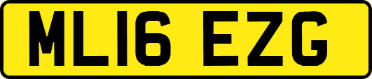 ML16EZG