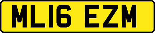 ML16EZM