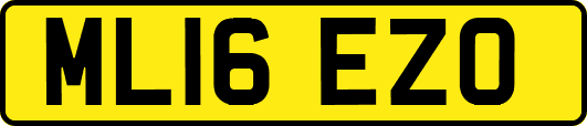 ML16EZO