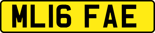 ML16FAE