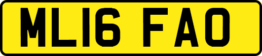 ML16FAO