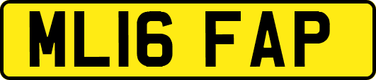 ML16FAP