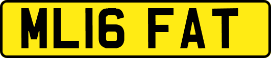 ML16FAT