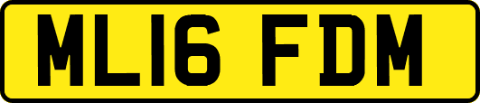 ML16FDM