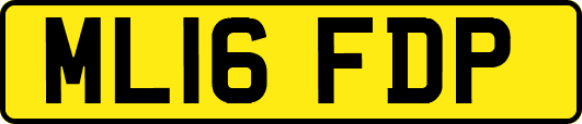ML16FDP