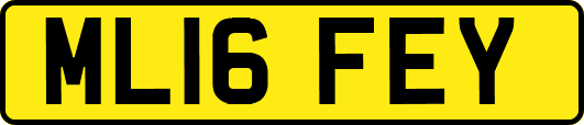 ML16FEY