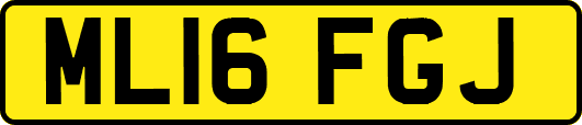 ML16FGJ