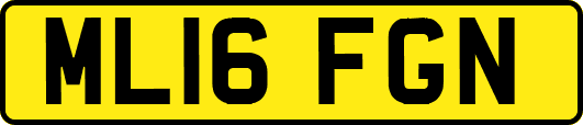 ML16FGN