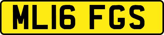 ML16FGS