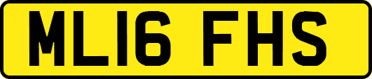 ML16FHS