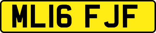 ML16FJF