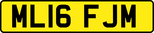 ML16FJM
