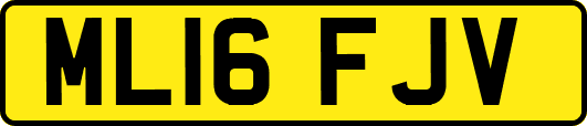 ML16FJV