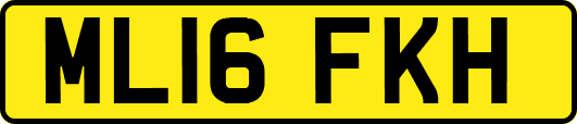 ML16FKH