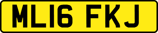 ML16FKJ