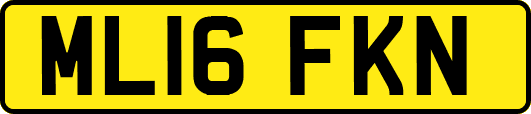 ML16FKN
