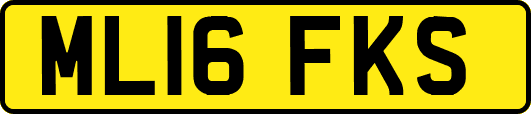 ML16FKS