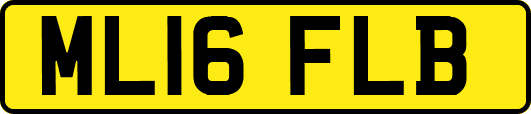ML16FLB