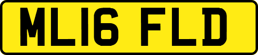 ML16FLD