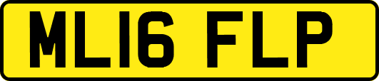 ML16FLP