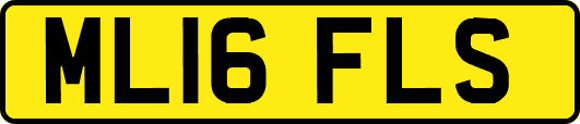 ML16FLS