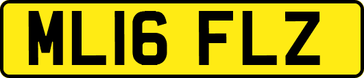 ML16FLZ