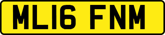 ML16FNM