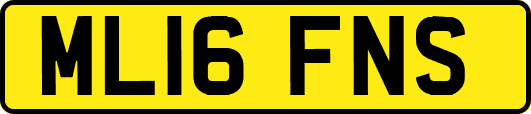 ML16FNS