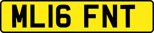 ML16FNT