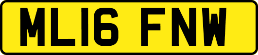 ML16FNW