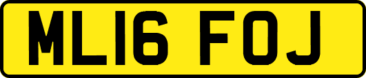 ML16FOJ