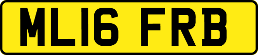 ML16FRB