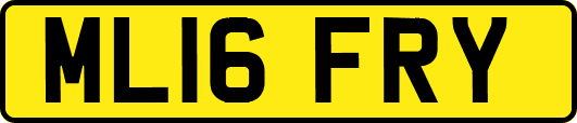 ML16FRY