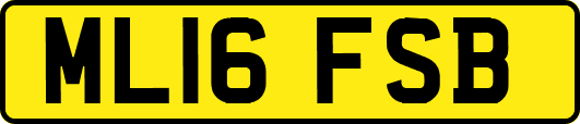 ML16FSB