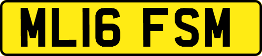 ML16FSM
