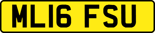 ML16FSU