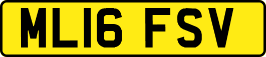 ML16FSV